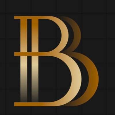 BIS Skip Hire logo